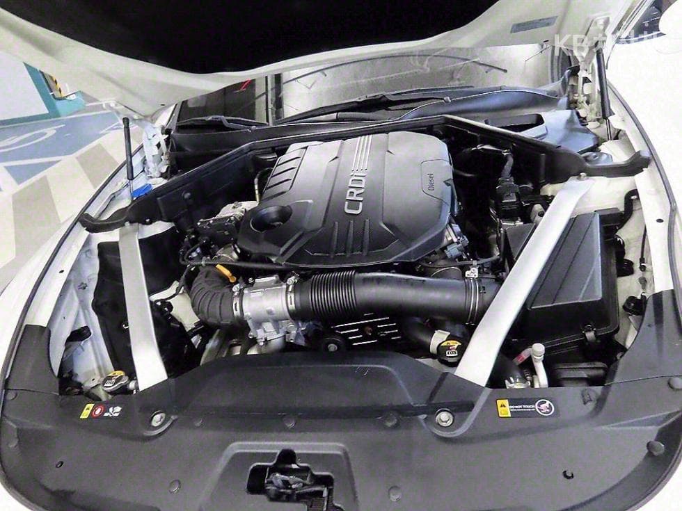 Kia Stinger2.2 Diesel 2WD 플래티넘 - 19