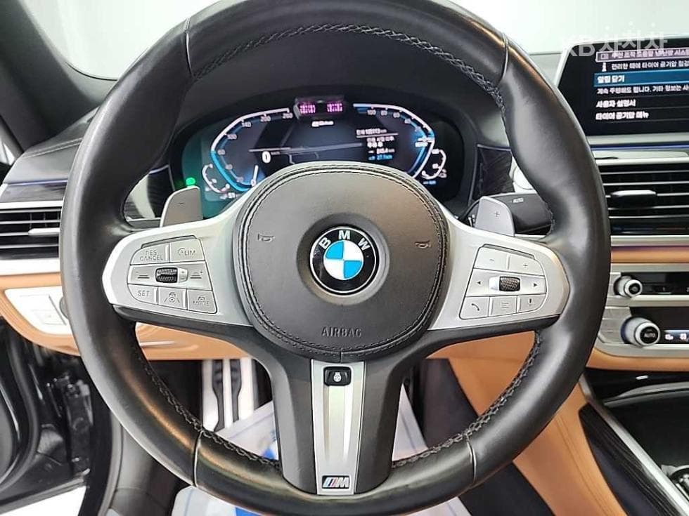 BMW 7시리즈 (G11)740e xDRIVE 아이퍼포먼스 M 스포츠 - 9