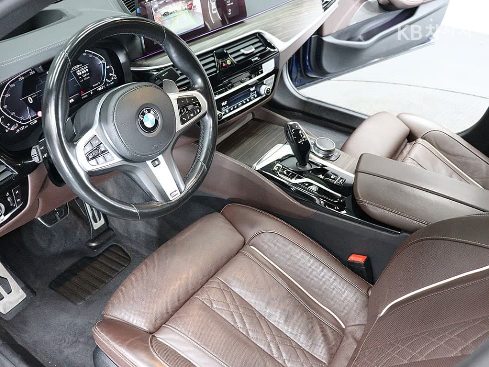 BMW 올Нов5 Серия (G30)530e M Sport - 16