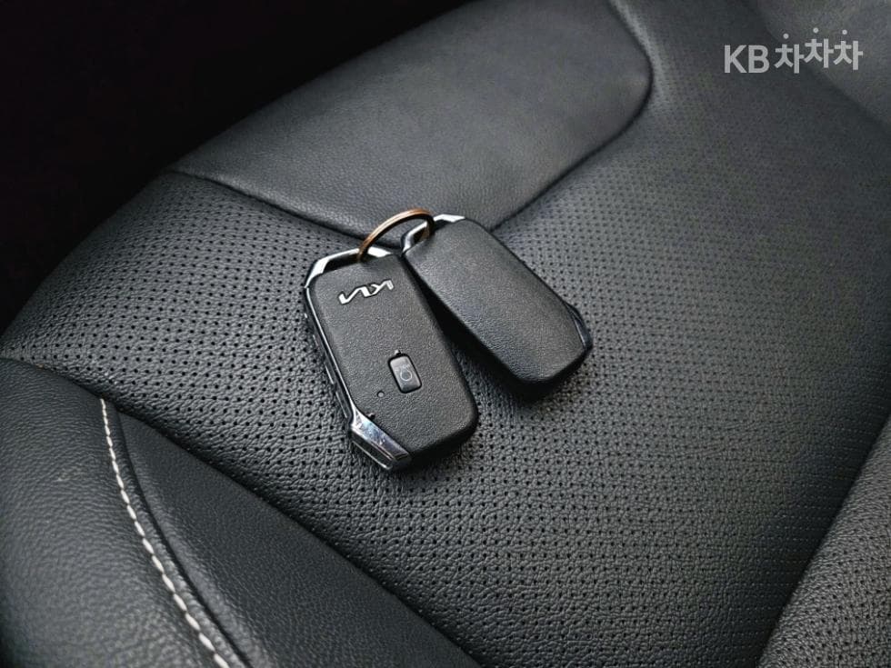 Киа Ниро EVПрестиж - 20