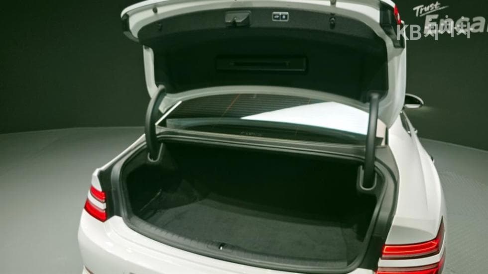 Дженезис G80(RG3)2.5 Турбо Бензин Директ Инжекция AWD - 20