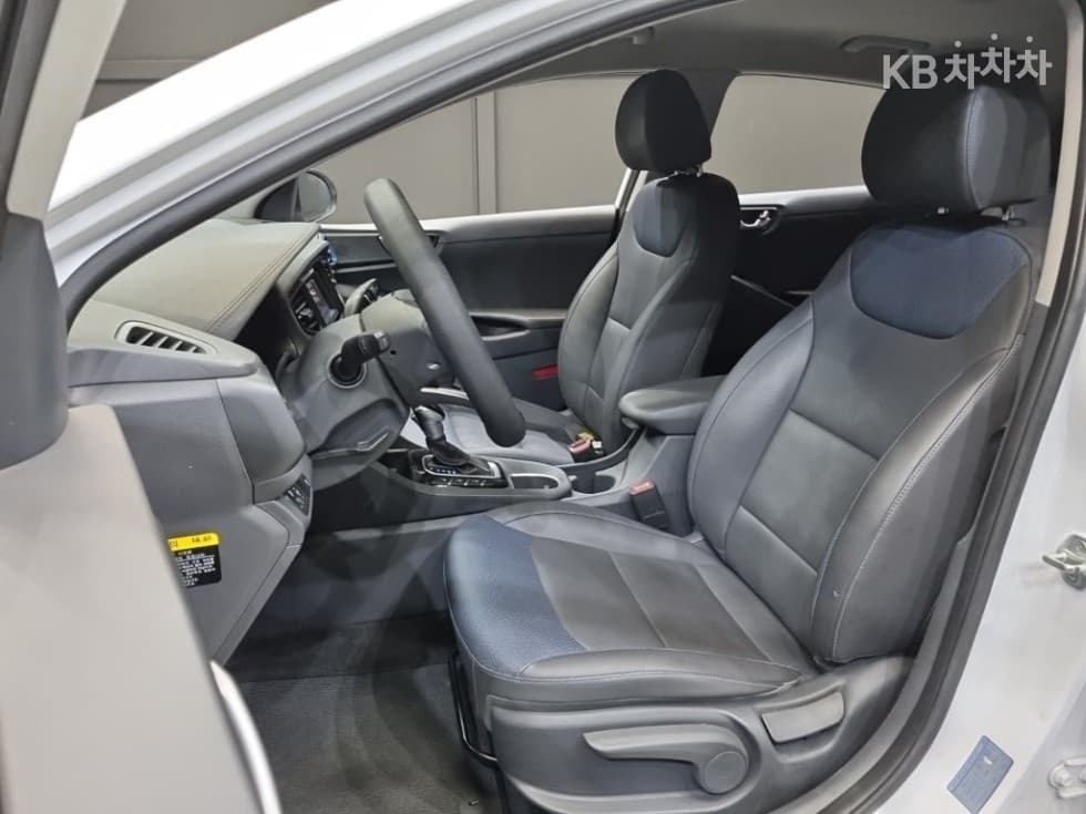 Hyundai IONIQ (Original Model)N - 14