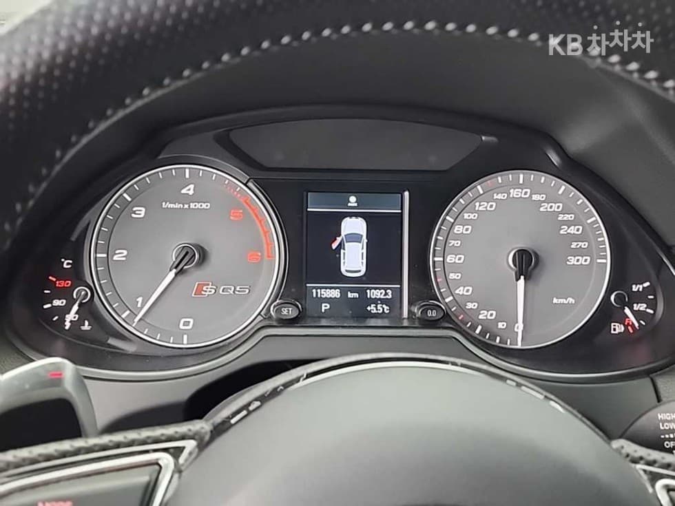 Ауди SQ53.0 Турбо Дизел Инжекция 콰트로 Стандартен - 6