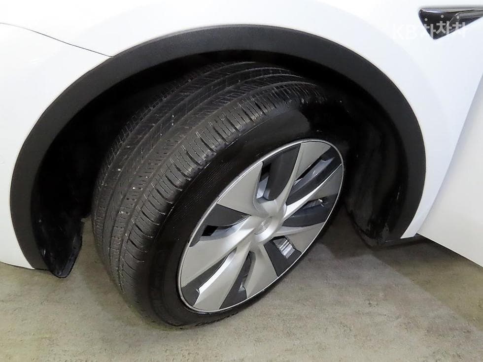 테슬라 Model YStandard Range - 20