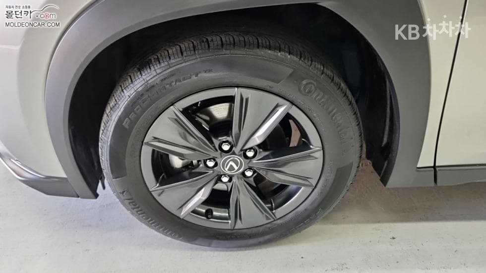 Lexus UX300h Стандартен - 6