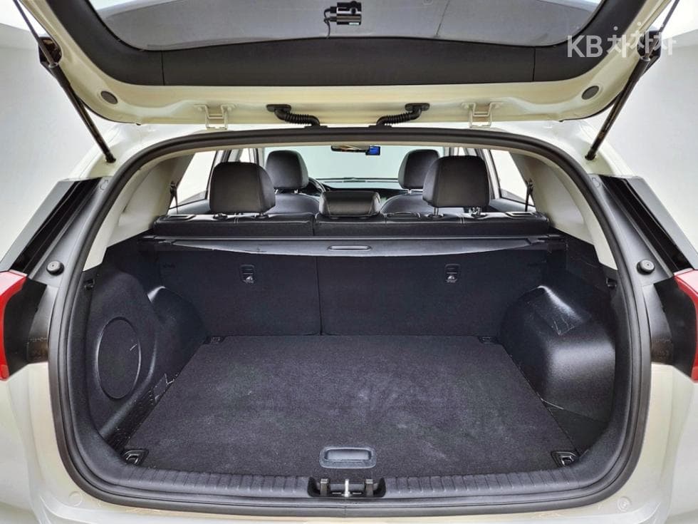 Киа Ниро EVNoblesse - 19