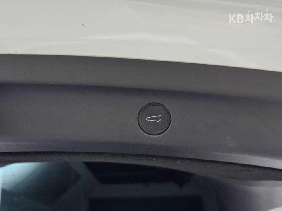 테슬라 Model YStandard Range - 20