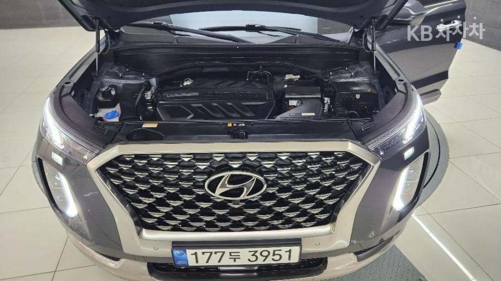 Хюндай Palisade2.2 Дизел 7-местен (Лимузин) Calligraphy - 6