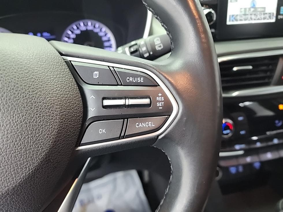 Hyundai Santa Fe TMDiesel 2.0 2WD Premium - 19