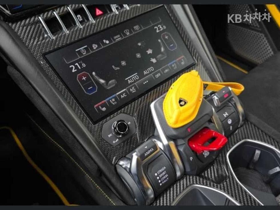 람보르기니 우루스퍼포만테 4.0 V8 - 9
