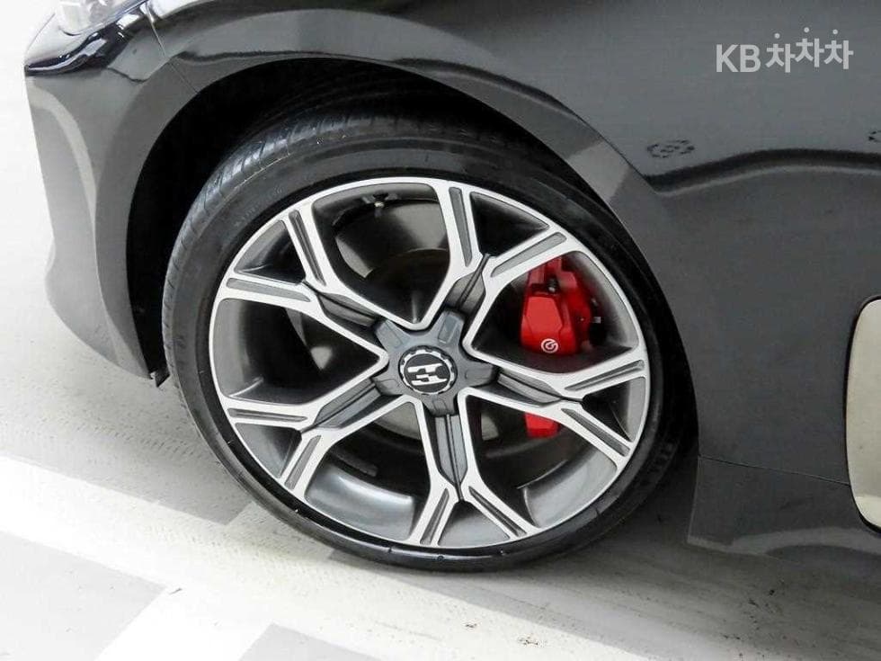 Kia Stinger2.0 Turbo 2WD 플래티넘 - 19