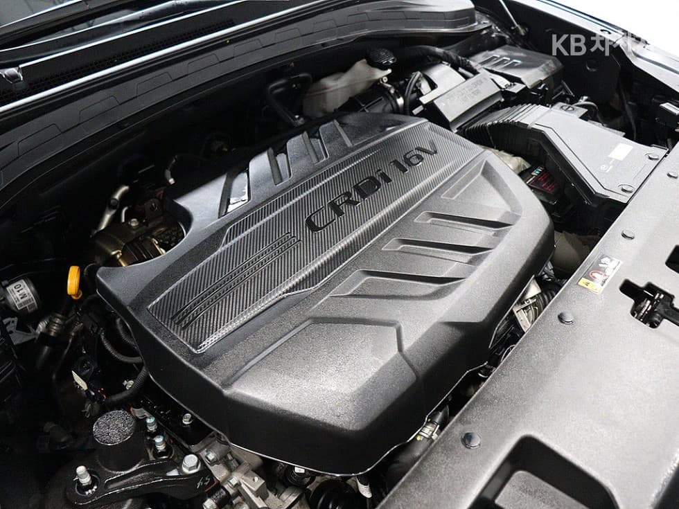 Hyundai Santa Fe TMDiesel 2.0 2WD Premium - 19