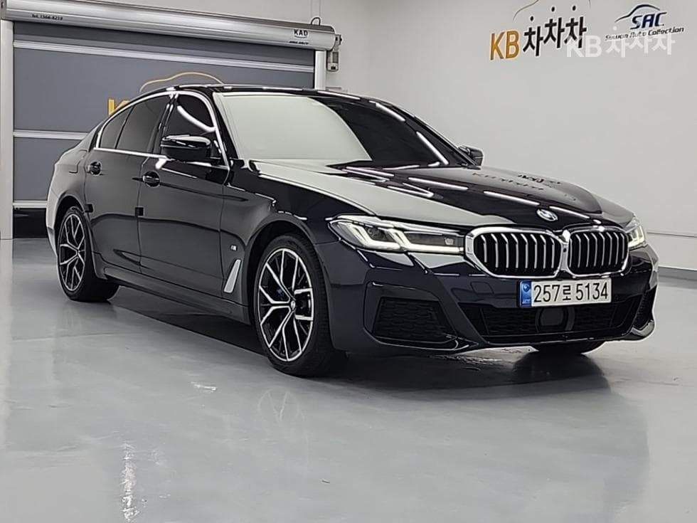 BMW 올Нов5 Серия (G30)530e M Sport - 4