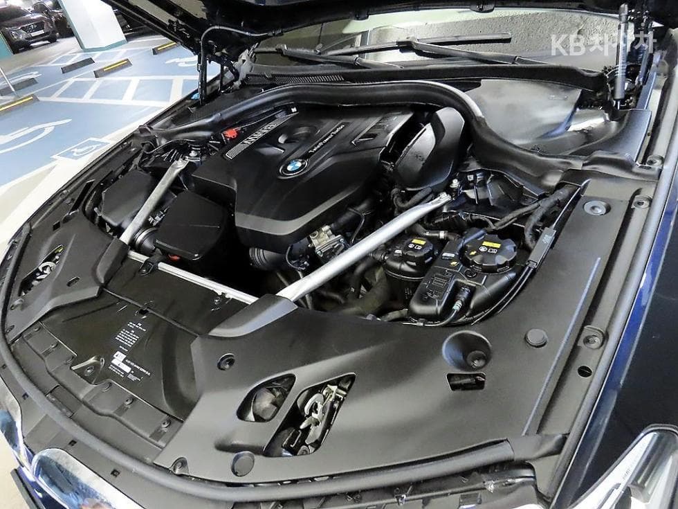 BMW 올Нов5 Серия (G30)530i M Sport Plus - 19