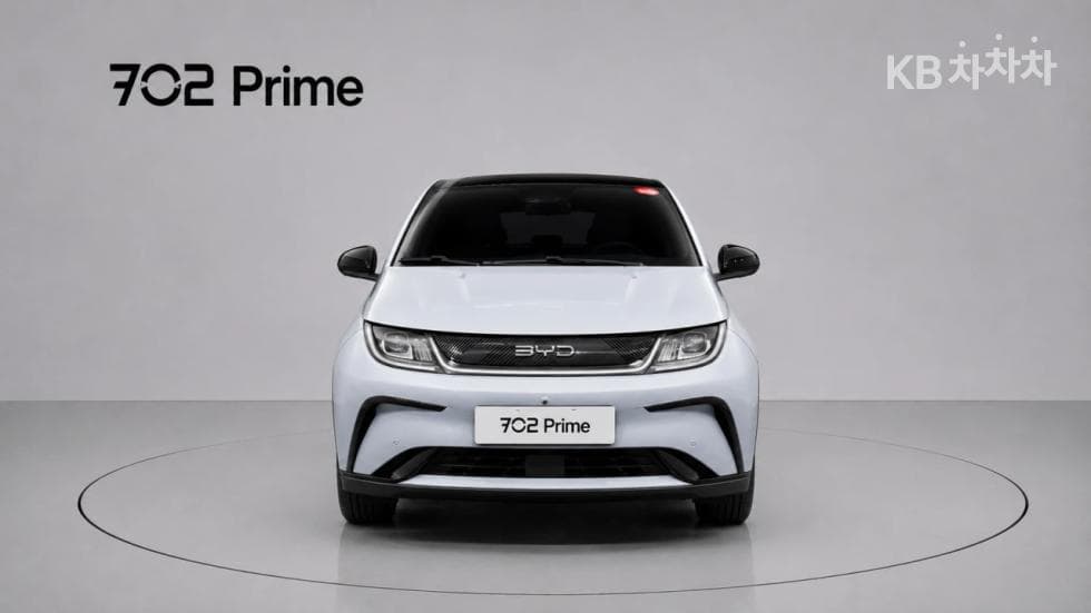 BYD 돌핀돌핀 기본 - 3