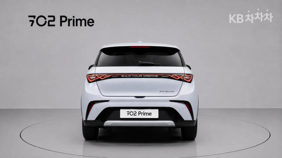 BYD 돌핀돌핀 기본 - 4