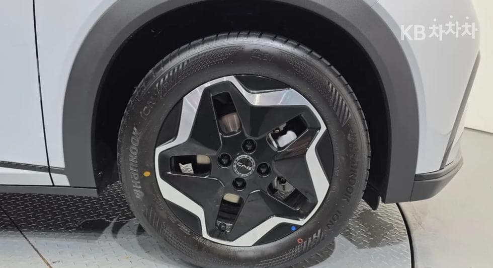 BYD 돌핀돌핀 기본 - 5