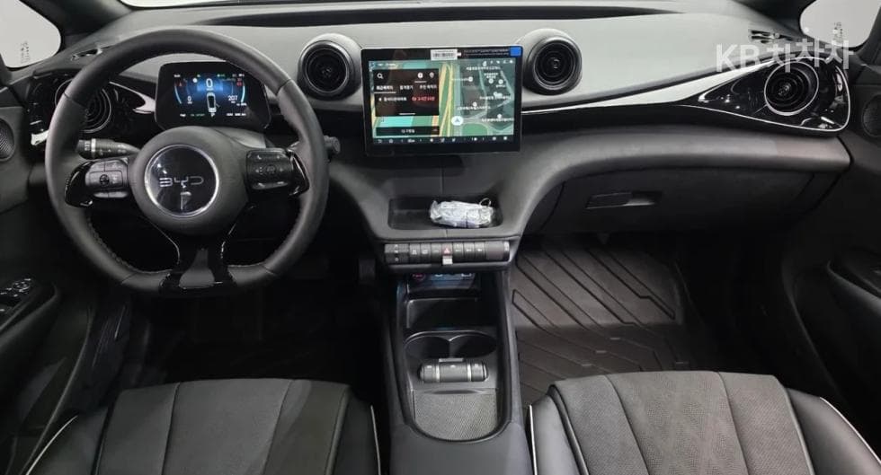 BYD 돌핀돌핀 기본 - 6
