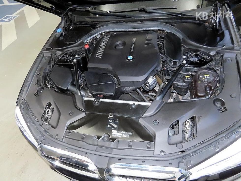 BMW 올Нов5 Серия (G30)530i M Sport - 19