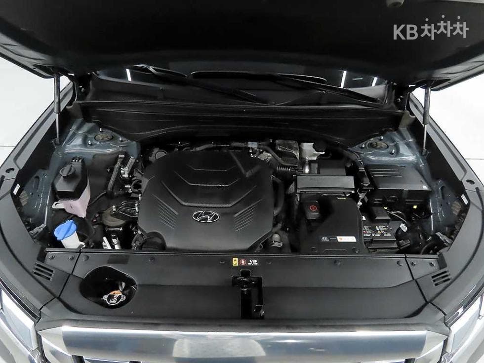 Hyundai The New (facelift) Palisade3.8 Gasoline 4WD Calligraphy - 19