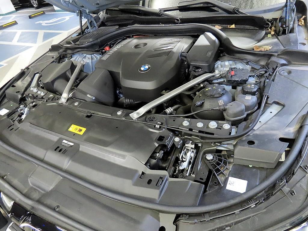 BMW New5 Series(G60)530e M Sport - 19