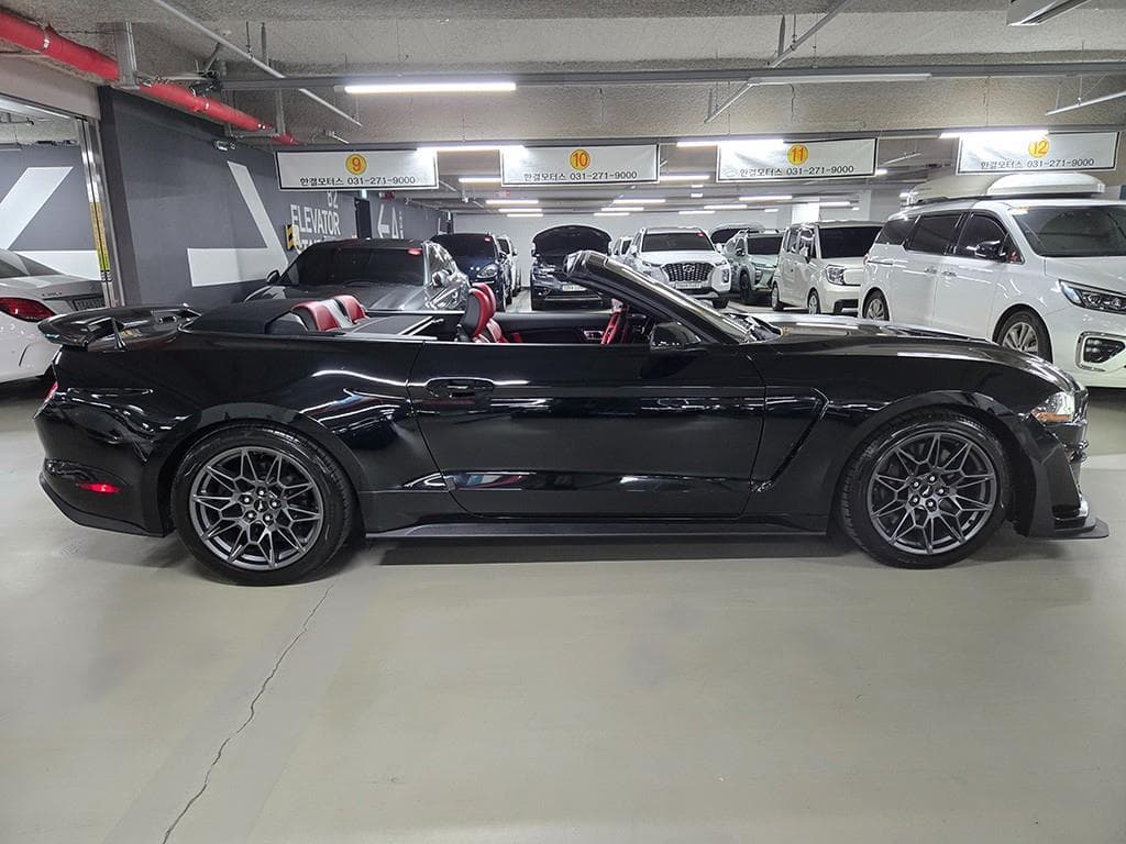 Ford 올New머스탱GT Convertible Premium - 3