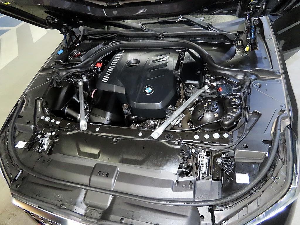 BMW New5 Series(G60)520i M Sport - 19