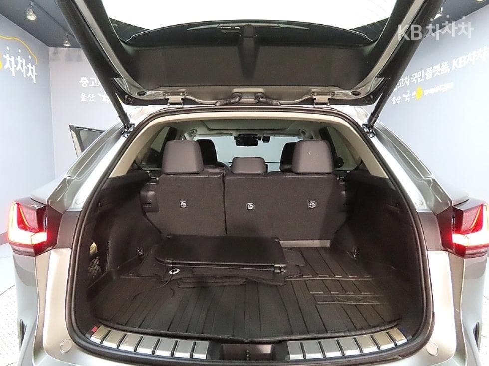 Lexus NX (Lexus SUV)(AZ20)350h Luxury - 19
