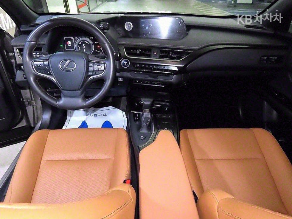 Lexus UX250h Standard - 10