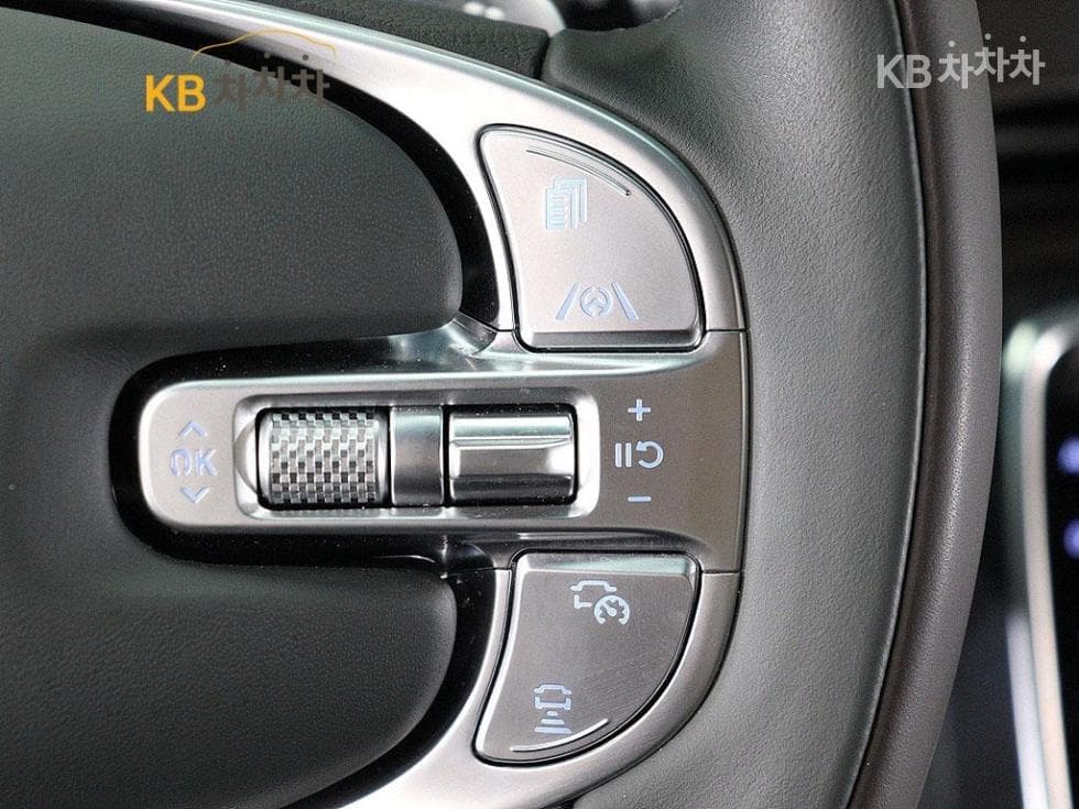 (189도2439)Genesis GV802.5 Turbo Gasoline AWD - 10