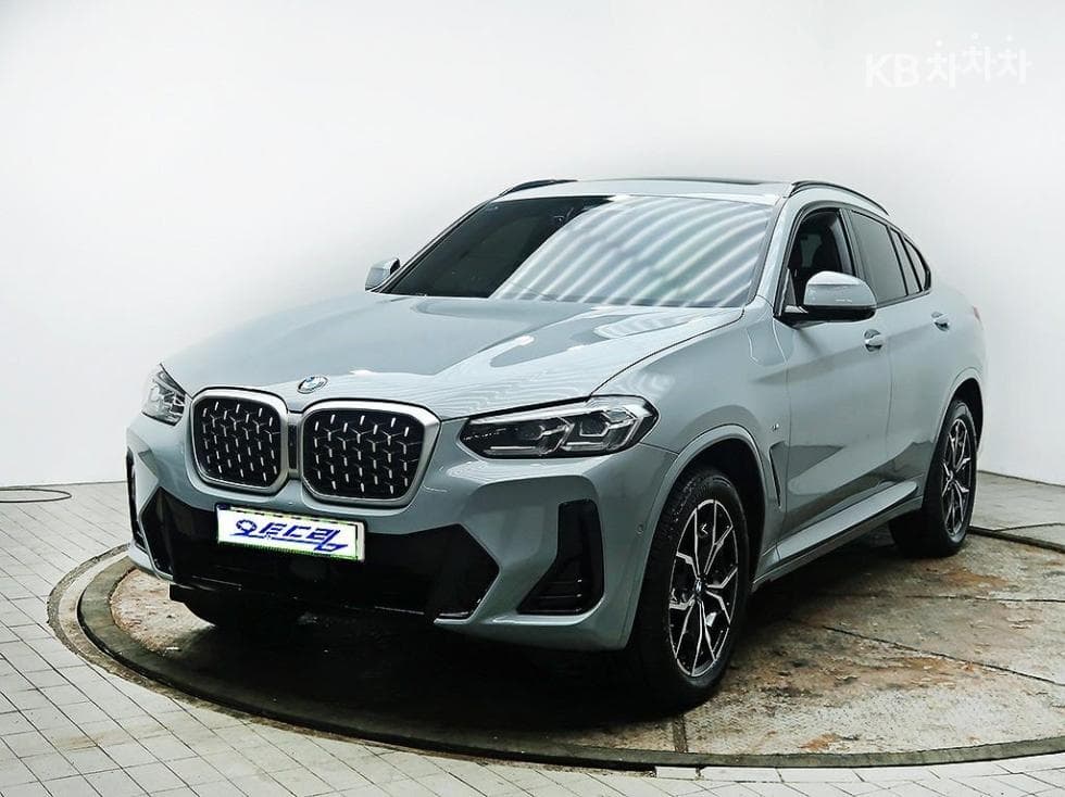 BMW New X4 (G02) xDrive 20i xLine - Image 1