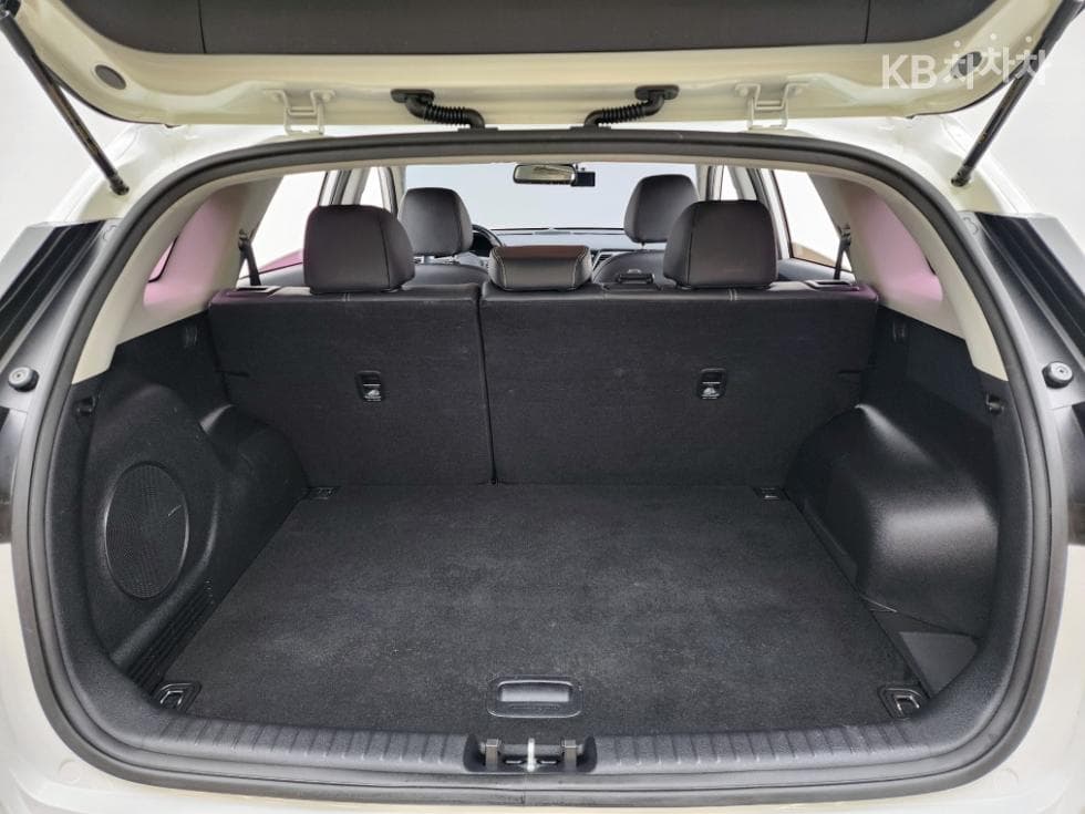 Киа Ниро EVПрестиж - 15
