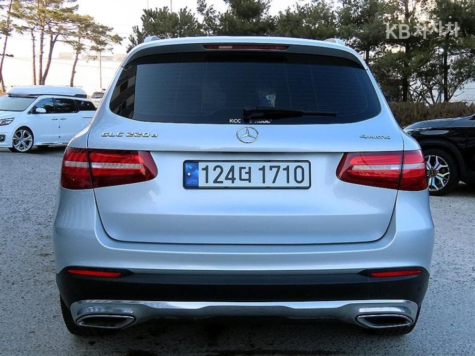 Mercedes-Benz GLC(X253)220 d 4Matic Premium - 4