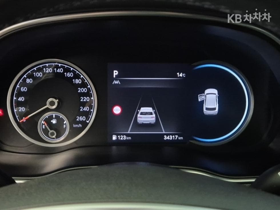 Genesis GV802.5 Turbo Gasoline 2WD - 6