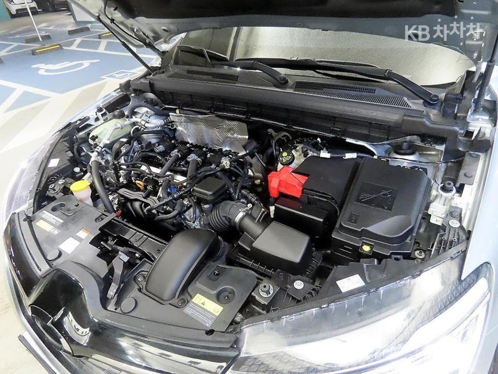 Renault Korea XM31.6 GTe LE+ - 19