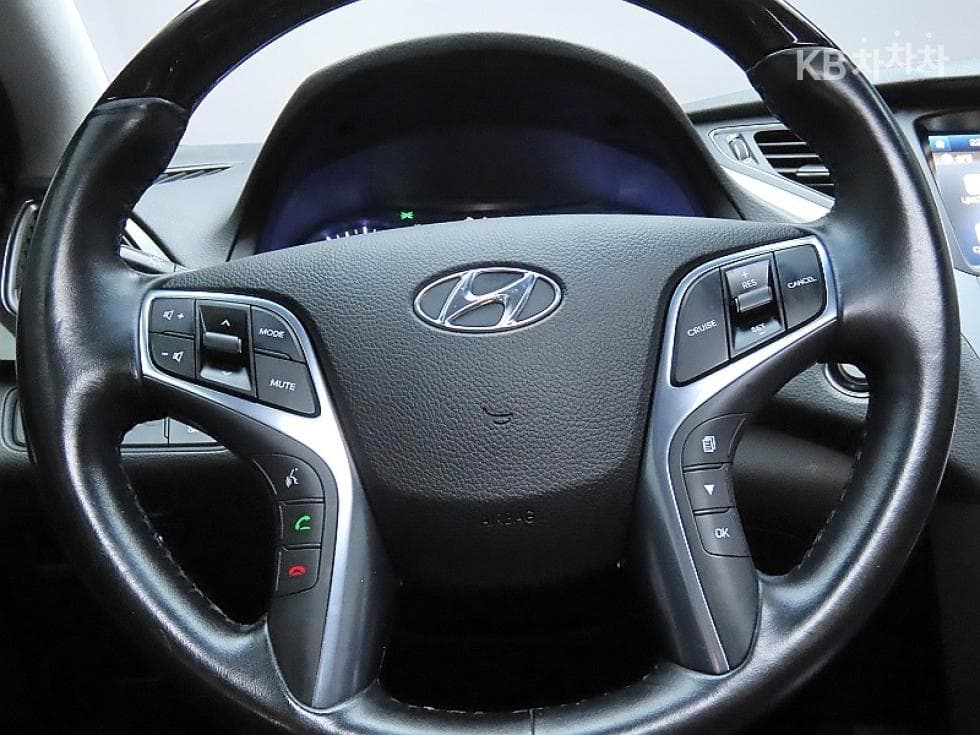 Hyundai Grandeur (Azera)HGLPG HG300 Disabled-accessible - 17