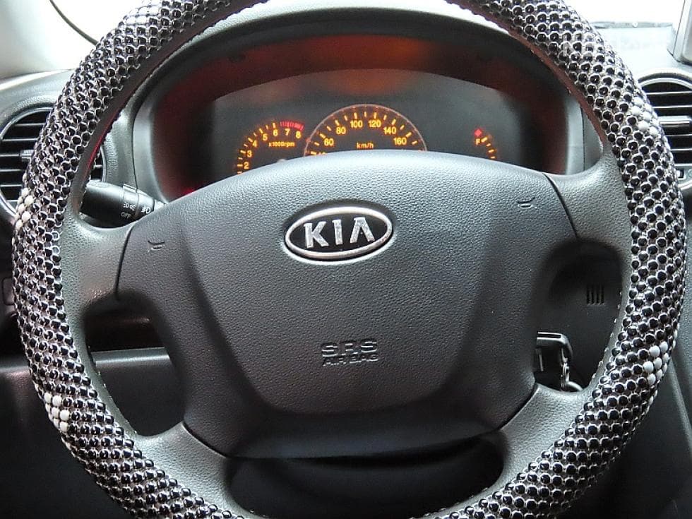 Kia NewCarens2.0 LPI GX Highest-end Type - 18