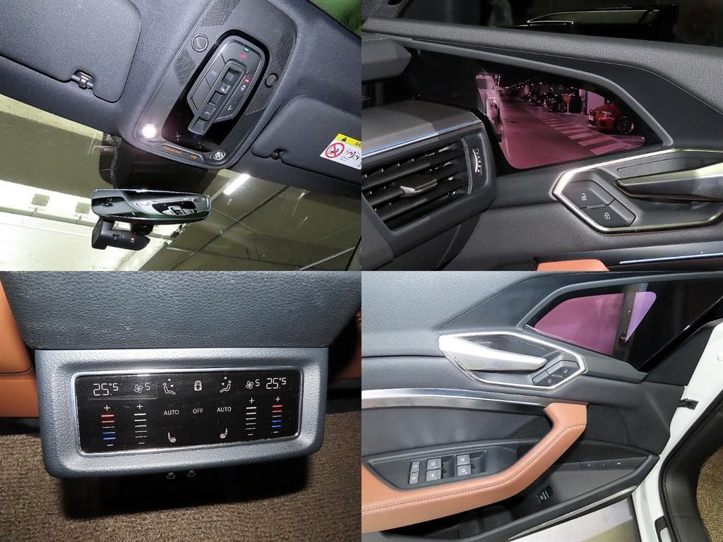 Ауди Q8 e-tron55 콰트로 Premium - 18