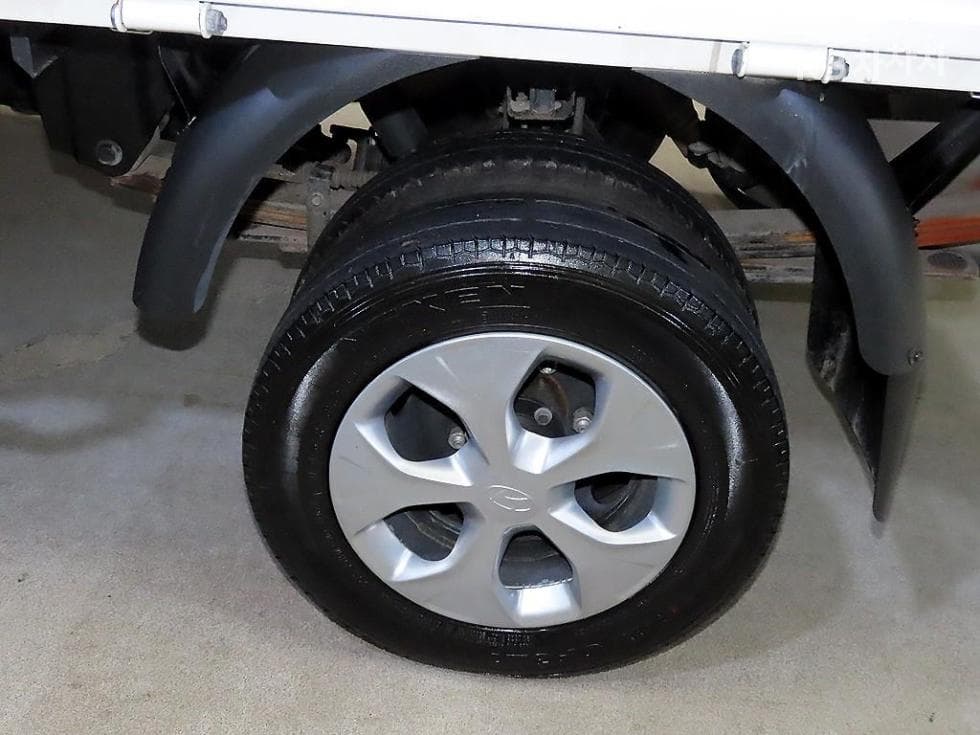Hyundai Porter 2Extra Long Double Cab LPG Smart - 20