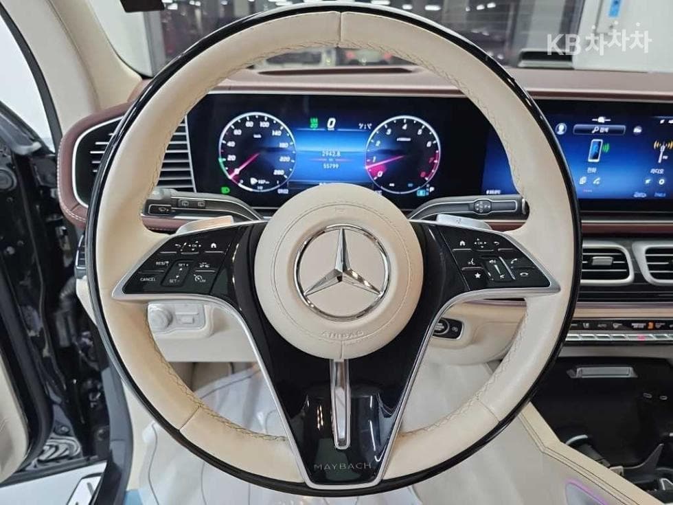 Mercedes-Benz GLS (X167)마이바흐 GLS 600 4Matic Standard - 9