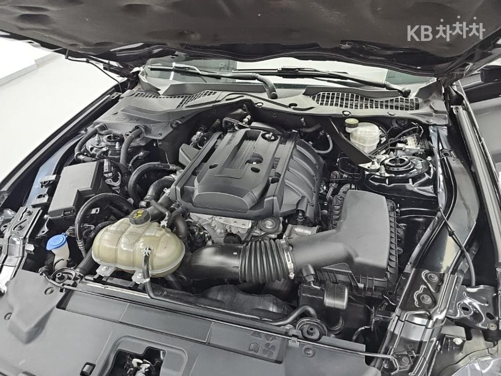 Ford 올New머스탱Convertible Premium - 5